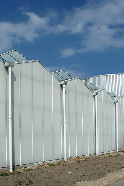 moderne hohen gewächshaus gegen blauen himmel - aluminum glass house window stock-fotos und bilder