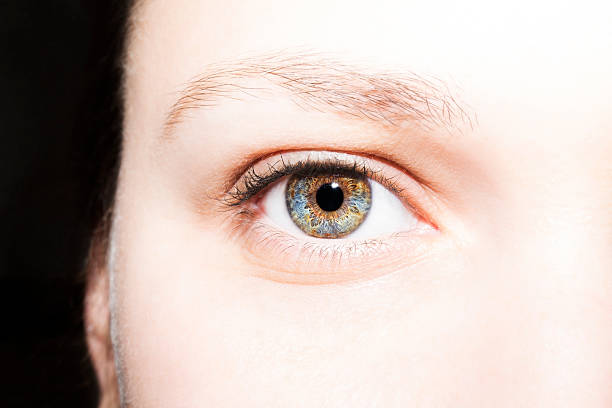istock Beautiful insightful look blue green brown woman's eyes 531788270