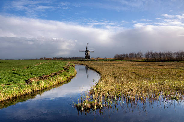 de naturaleza " donkse laagten" - alblasserwaard fotografías e imágenes de stock