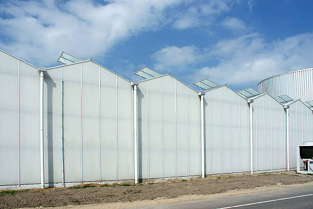 현대적이다 연강에서 온실 푸른 하늘에 - aluminum glass house window 뉴스 사진 이미지