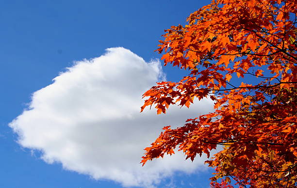 秋のクラウド - white cloud mountains ストックフォトと画像