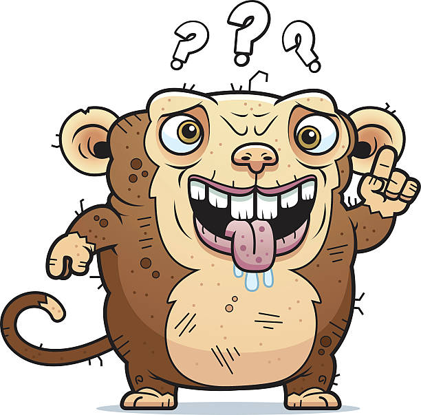 Cartoon Of The Stupid Monkey Illustrations, Royalty-Free Vector Graphics &  Clip Art - iStock