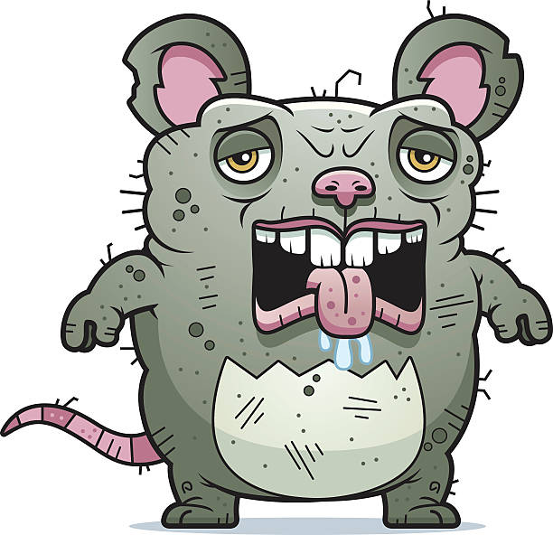 Tired Ugly Rat Stock Illustration - Download Image Now - 2015, Animal,  Animal Saliva - iStock
