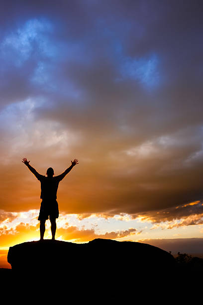 istock joyful man looking at sunset sky 531792491