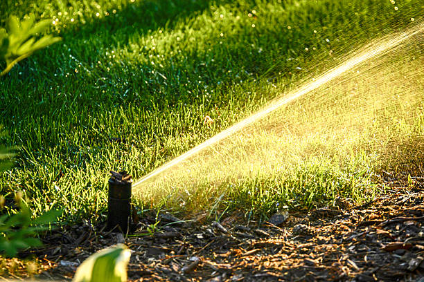 istock Lawn Sprinkler spraying water at sundown 531792952