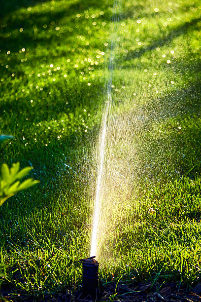 istock Lawn Sprinkler spraying water at sundown 531792970