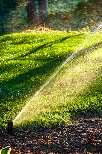 istock Lawn Sprinkler spraying water at sundown 531792986
