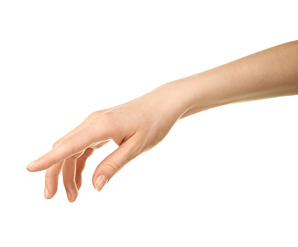 istock Female caucasian hand gesture isolated 531793368