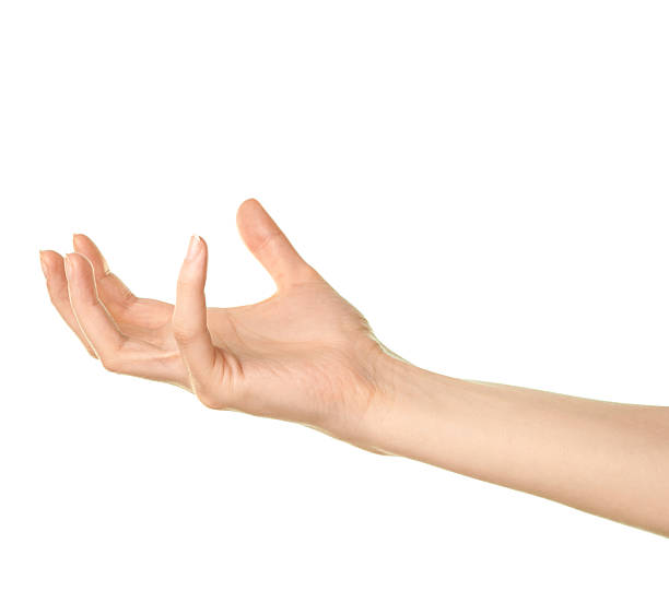 istock Female caucasian hand gesture isolated 531793526