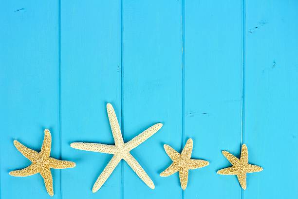 istock Summer bottom border of starfish on blue wood 531793992