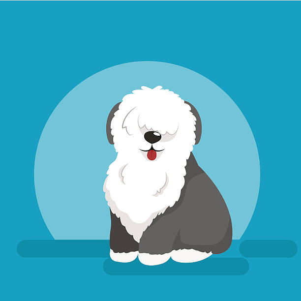 Illustration of sitting funny dog, Old English Sheepdog Illustration of sitting funny dog, Old English Sheepdog vector background shaggy fur stock illustrations