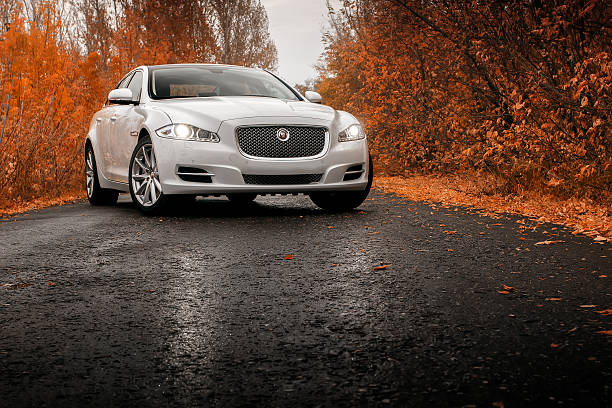 whtie voiture jaguar xj sur terrain mouillé route asphaltée de l'automne - jaguar xj photos et images de collection