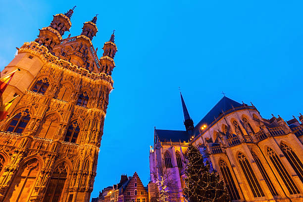 istock Leuven City Hall on Grote Markt 531797982