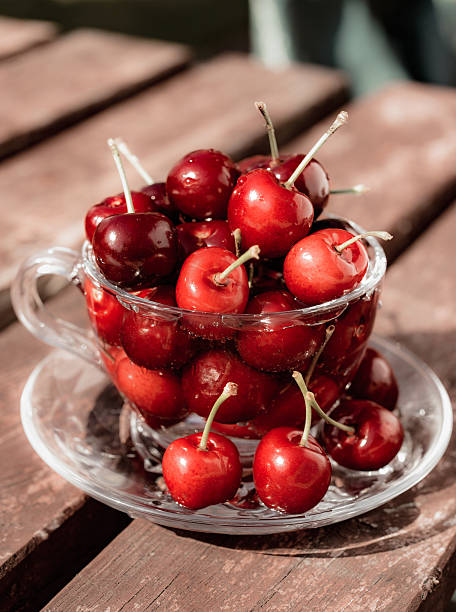 Summer red cherries in glass tea cup stock photo