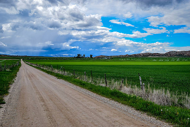 istock Dirt road in south fields 531799978