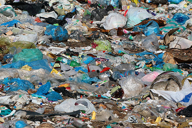 istock Pile of domestic garbage 531800396