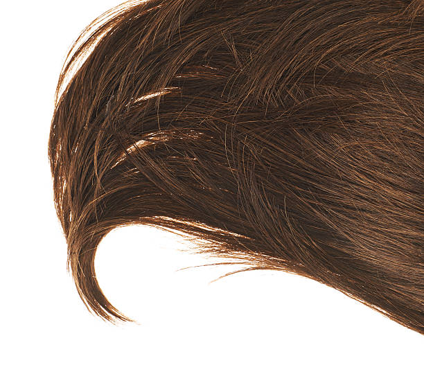 istock Hair fragment over the white 531800948