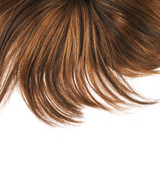 istock Hair fragment over the white 531801372