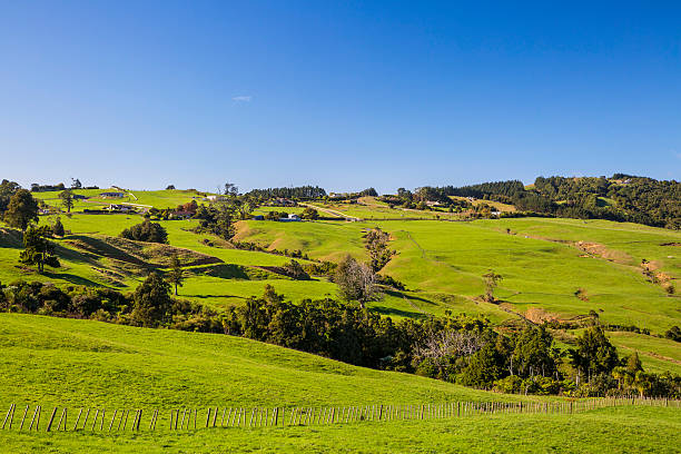 istock New Zealand countryside 531802442