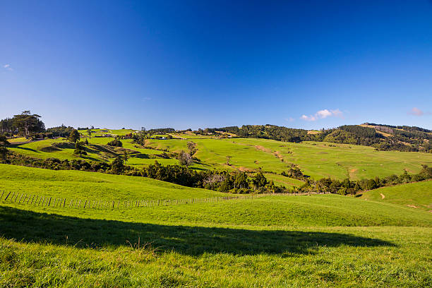 istock New Zealand countryside 531802692