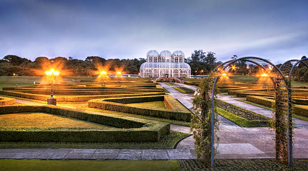 クリチバ植物園 - curitiba ストックフォトと画像