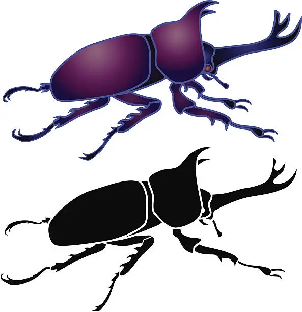 Vector illustration of horned rhinoceros beetle