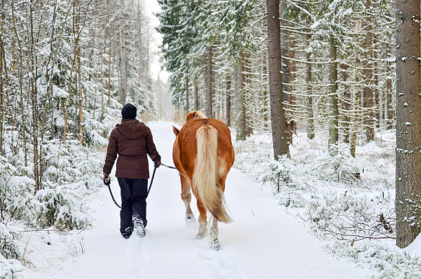 istock Horse and woman 531812973