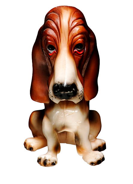 istock Basset Hound Dog 531823555