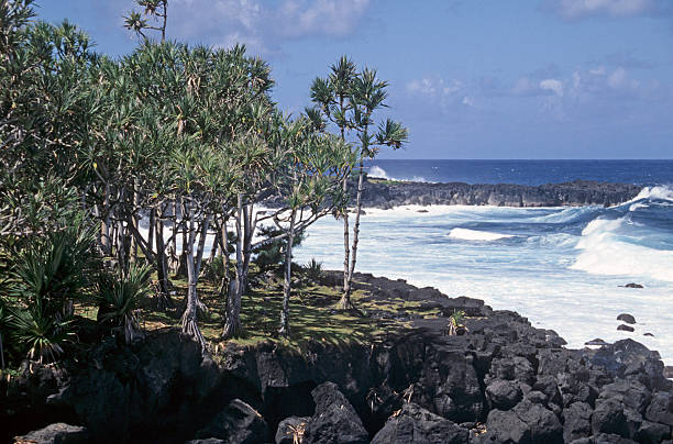 istock Lava beach La Reunion 531825319