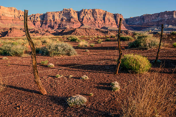 istock High Desert Fence 531827569