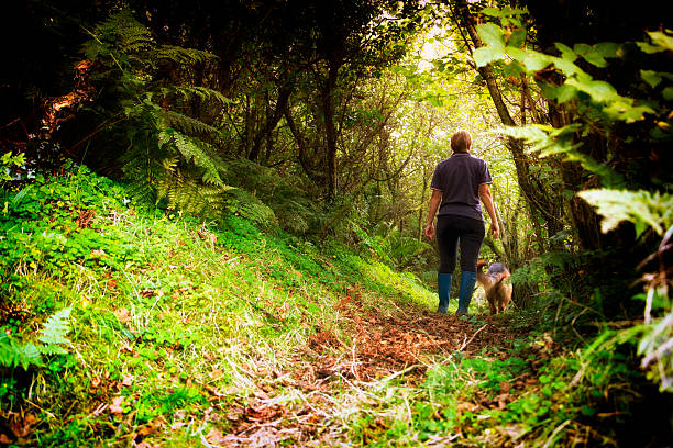 istock woman and dog on rural footpath 531828815