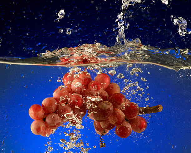 istock fruits and vegetables in water 531842273