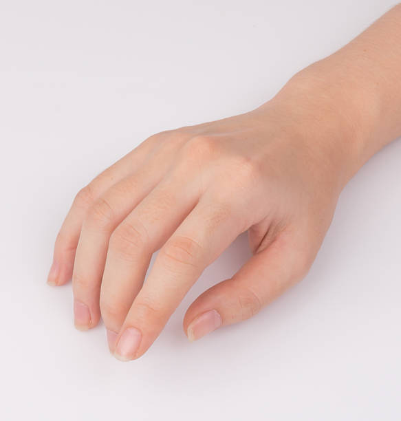 istock Women hand isolated on white background 531842629