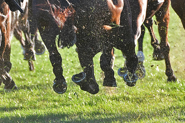 istock Horse racing action 531842770