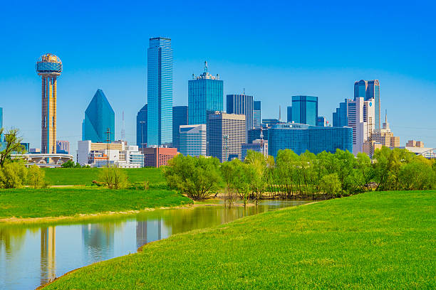 istock Dallas skyline cityscape with spring foliage,TX 531844138