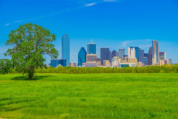 istock Dallas skyline cityscape with spring foliage,TX 531844200