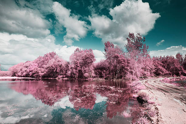 istock Park of Pateira de Fermentelos 531844669