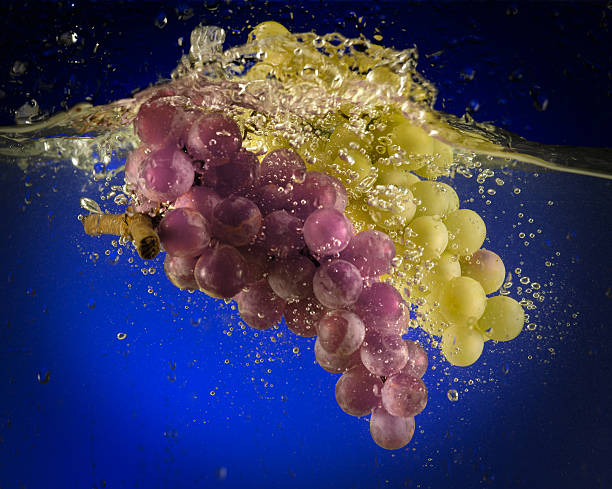 istock fruits and vegetables in water 531845967