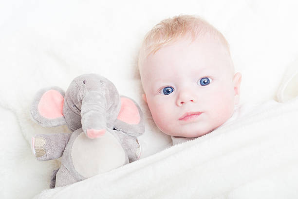 istock Baby with plush toy. 531846481