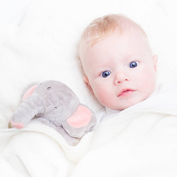 istock Baby with plush toy. 531846501