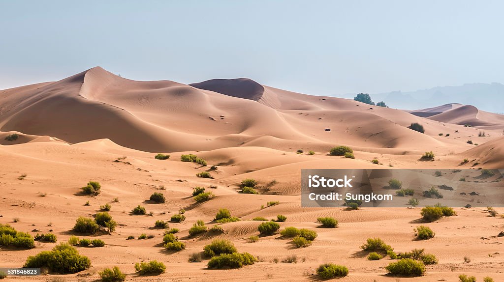 SANDY dune Sand dune in Al Ain, Abu Dhabi ,UAE 2015 Stock Photo