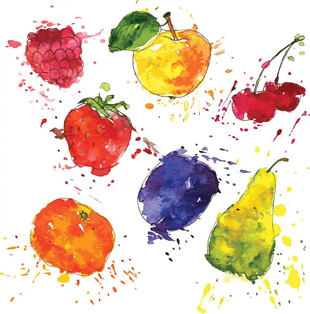 Vector illustration of set of fruits and berries drawing by watercolor