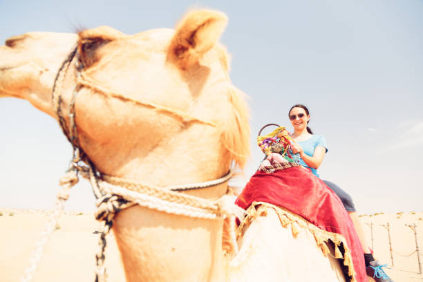 istock tourist riding a camel 531847035