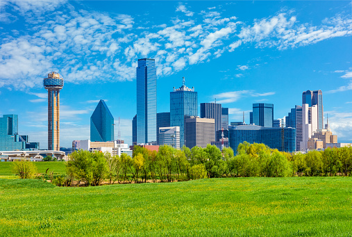 Spring foliage fills the foreground leading back to the skycrapers of Dallas skyline with clouds above, Texas