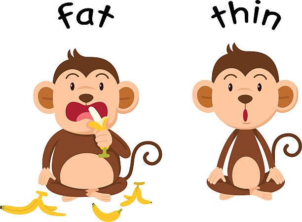 Fat Monkey Drawing Illustrations, Royalty-Free Vector Graphics & Clip Art -  iStock