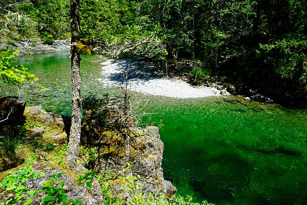 Opal Creek Wilderness River North-Central Oregon's Cascade Range. willamette national forest stock pictures, royalty-free photos & images