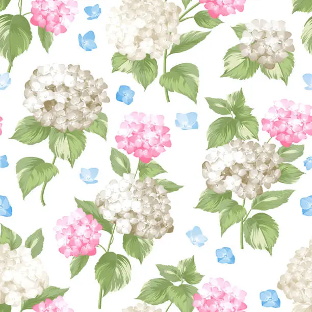Vector illustration of White pattern of summer flowers