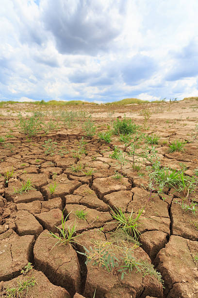 istock surface crack of soil in arid area 531859256
