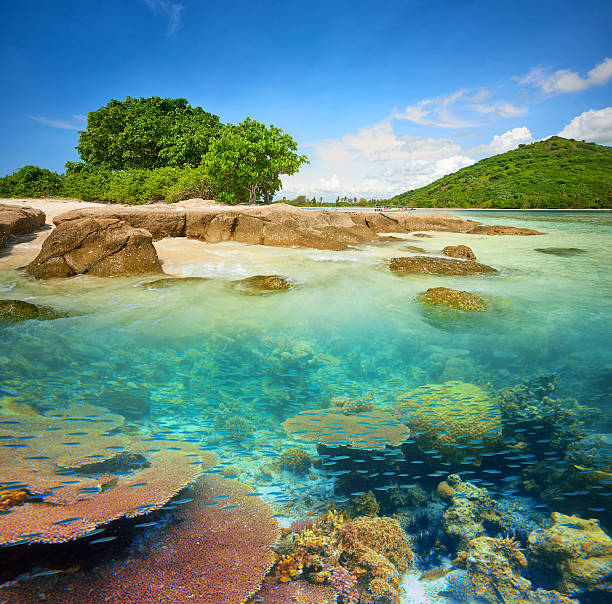 istock small tropical island with a coral reef. 531860500