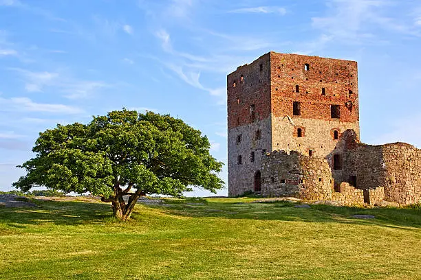 The tower of the ancient danish castle ruin on Bornholm, situated next to an old beautiful oak tree